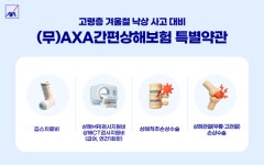 겨울철 낙상 사고 대비…악사손보 'AXA간편상해보험' 고령층 보장 확대