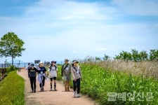 순천만쉼표2호스텔 | 순천시, 초록이 무르익는 5월...순천만에서 쉼의 힐링을