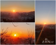 성수동기운을품은남자 | "호랑이 기운을 품은 새해 첫해가 떴다"
