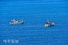 선상낚시 체험