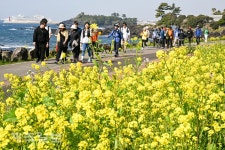 Foto hasil carian Naver 5