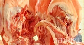 (주)다내축산 2공장 | 관세 낮춰도 물가 올라 비상…돈육, 할당관세 현장 점검
