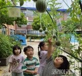 애플망고순천왕지 | 순천왕지초 병설유치원 꼬시리 손 '알찬 수확'