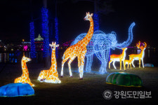 파우제속초힐링센터청초호지점 | 청초호 유원지 야간 조명으로 시민힐링공간 부상