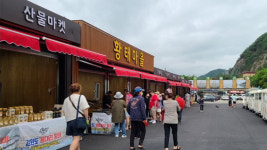 삼거리하이퍼마켓 | 인제 용대삼거리 산물마켓 시범운영 '1500만원 매출'