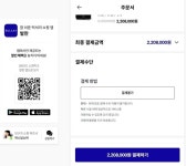 문화비2_KOCES결제대행 - 구로구 디지털로26길 72 | '정산지연' 발란, 결제서비스 중단…'제2의 티메프' 사태?