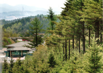 산마루산림기술사사무소 | 강원도형 산림복구공법 녹화 성공 밑거름됐다
