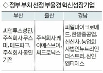 주식회사 씨큐트로닉스 | 씨앤투스성진 등 부울경 중소기업 11곳, 혁신성장기업 선정