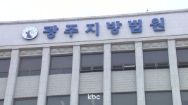 원예인판사 | 치과의사가 '잇몸뼈 이식 허위 진단서'로 보험사기