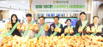 무안농협망운지소 | 무안군, 수도권 직거래로 양파 소비촉진 상생 행보