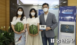 농협필름함안· | 농협은행 경남영업본부, 우수고객·거래기관에 ‘함안수박’ 나눔