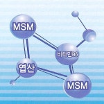 백세건강 셀루스무빙 경산지점 | 트리플 엠에스엠 60정 / MSM / 비타민B6 / 엽산 / 한번에! / 관절건강 / 연골건강 / 가임기여성 / : 백세건강 셀루스무빙