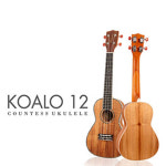 카운티스 코알로12, KOALO12, 10cak 콘서트 : 우쿨렐레인포
