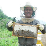 1+1 아카시아꿀 잡화꿀 국산 경북 청도 자연숙성 야생 천연벌꿀 600g+600g : 오팜 착한농장 장터