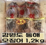 순창고무상회 | (순창상회) 강원도 동해 오징어 1.2kg / 마른오징어 : 순창상회
