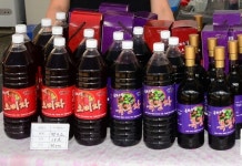 산지직송 냉동복분자 10kg (박스) : 봉화 수림오미자농원