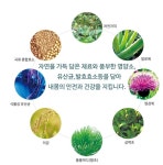 에스바오기프트 | 에스투매직골드 : 기프트존