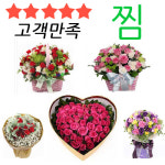 꽃바구니 생일 꽃다발 전국배달 : 찜 프로포즈 장미 돈 출산