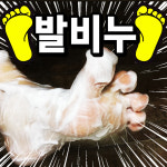1+1 발비누 천연 수제 발냄새 각질 풋케어 발전용 미니솝증정 태현테라피 : 태현테라피