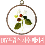 노라프랑스자수 | DIY프랑스자수 라즈베리 : 302호