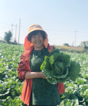 산지직송 - 해남땅끝 해풍 절임배추 20kg : 이심이 농장