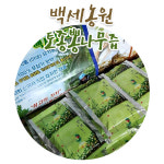 농업회사법인 주식회사 헛개나무옻나무 | 토종뽕나무즙 : 헛개나무 백세농원