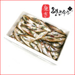 행운수산 도루묵 13KG(냉동 1BOX) : 행운수산