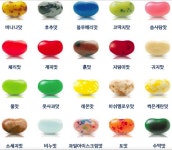 오리지날 젤리벨리 해리포터 젤리빈 뉴에디션 4개묶음 : 비타메리카