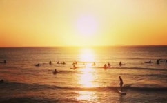 제주도서핑샵문서프 | 제주도서핑 문서프 입문초보강습(심플코스) : 제주도서핑샵 문서프