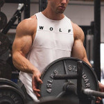 스트렝스핏strengthfit | 남성 wolf 헬스나시 머슬핏 스트렝스핏 짐웨어 : 센버스