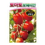 토마토씨앗 보헤미안(1000립) - 대추 방울토마토 : 쑤기네마트