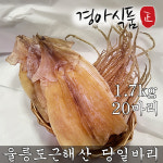 경아상회 울릉도 근해 해풍 건조오징어 마른오징어 당일바리 1.7kg 20마리 : 경아식품