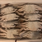 냉동 활 꽃게 / 수케, 4kg, 박스 (게장, 찜, 구이용) : 하니브이엔에프
