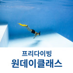 PADI 프리다이빙- 소그룹 원데이 클래스(2시간/최대 3인) : 바다가 너에게 프리다이빙