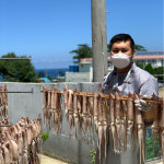 반건조오징어 피데기 동해 속초 울릉도 오징어 국내산 포항 구룡포 버터구이요리 : 도매전문 최가네구룡포과메기