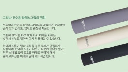 비씨(BC)당구재료 | 고리나 라텍스그립 : Bc당구재료