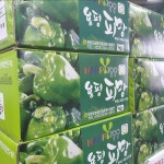 국내산 피망 못난이 1kg 2kg 3kg 5kg : -클릭마켓-