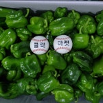 국내산 피망 10kg : -클릭마켓-