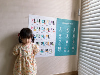 아기 벽보 병풍 학습 세계지도 방수 유아 포스터 한글 영어 알파벳 구구단 표 아기 방 학습 벽 그림 작가 드로잉 : 하이헤이스토어
