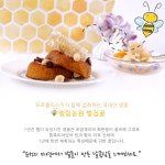 청학동곳간농원 | 순천벌꿀 엘림농원 밀랍 생꿀 벌집 사양 꿀차 프로폴리스 지함 2kg : 초이곳간