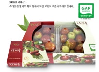 송산보은대추농장 | 2025년 사과대추 보은 생대추 건대추 고당도 대추 VIP대추 선물용 햇대추 : 충북보은 최원준라온농장