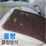 올빵 엉덩이땀 시원한 똥꼬 방석 자동차용 통풍 시트 추천 쿨링방석 : 홈앤로드24