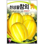 참외 씨앗 30립 천상꿀 참외씨 종자 : 근소텃밭