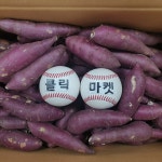 국내산 꿀고구마 햇 겨울 고구마 5kg 10kg : -클릭마켓-