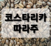 코스타리카 따라주 원두커피 1kg 판매 (당일볶은원두) : 원두로스팅공장 식스필