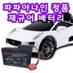 파파야나인 전동차 배터리 재규어 전동차 배터리 : 아우토반키즈카 인천시흥점