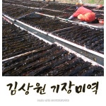 김상원기장미역 | 김상원 미역기장 2번 기장햇미역(16가닥, 1kg 내외,죽성산,부드러운맛) : 김상원기장미역