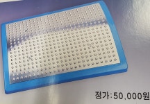 고려수지학회순천지회 | 고려수지침학회은색 발지압판 B형 : 수지의료기상사