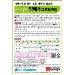 금천두레마트 | 양배추 종자/그랜드마트 500립 : 두레농약종묘센터