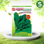 시금치씨앗 20g 킹오브덴마크시금치 쌈채소 만추대성 : 솔림텃밭몰